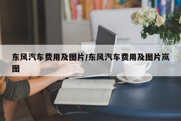 东风汽车费用及图片/东风汽车费用及图片岚图