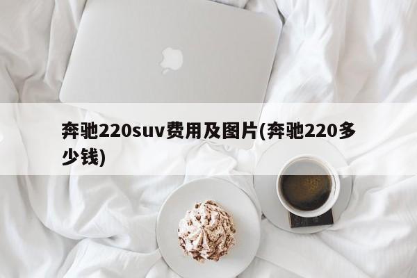奔驰220suv费用及图片(奔驰220多少钱)