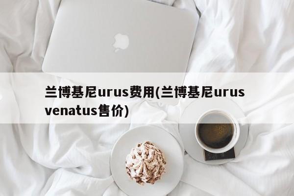 兰博基尼urus费用(兰博基尼urus venatus售价)