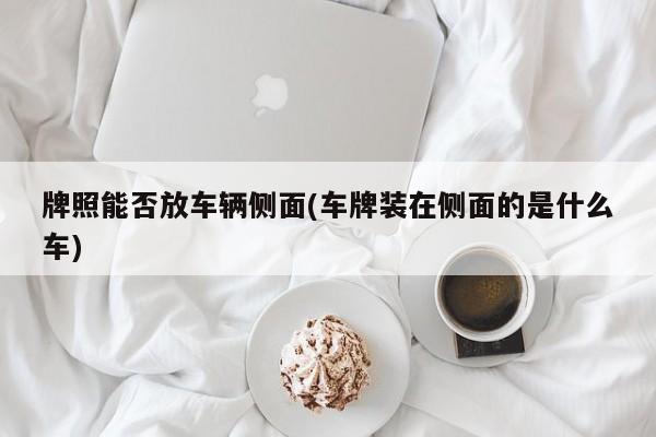牌照能否放车辆侧面(车牌装在侧面的是什么车)