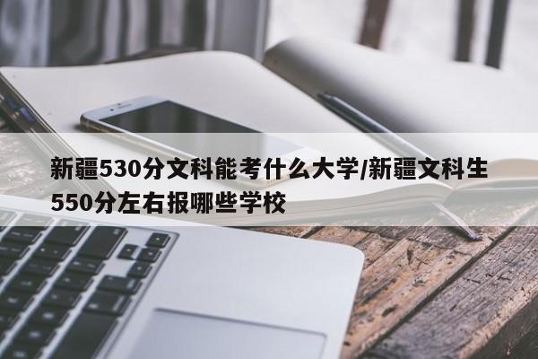新疆530分文科能考什么大学/新疆文科生550分左右报哪些学校